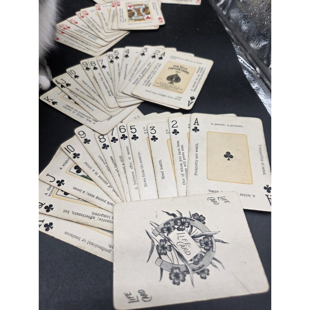 1904 Antique THE NILE FORTUNE CARDS  52 + Life Card One Card Damaged See Photos
